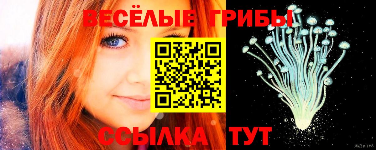 Саранск  Галлюциногенные грибы MAGIC MUSHROOMS  Псилоцибиновые грибы Cubensis  Вход с VPN 