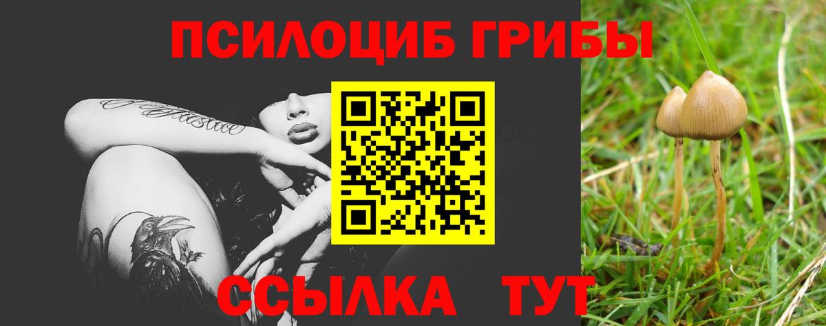 Псилоцибиновые грибы мухоморы Саранск